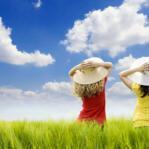 冬凌居的个人资料头像