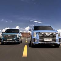 一生只爱传祺头像