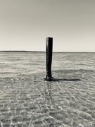 子不的个人资料头像