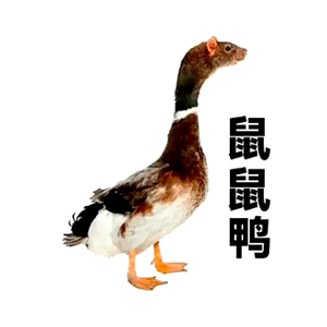 尽善尽美5203头像