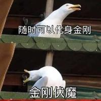 PPP特儿头像