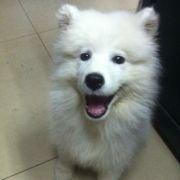 GakkiXIaoT的个人资料头像