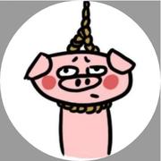 Sunpig的个人资料头像