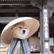 请你别入坑的个人资料头像