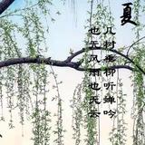 快意江湖人世间头像