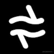 lc1995的个人资料头像