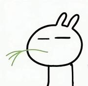 帆1122的个人资料头像