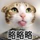 老兔兔乖乖头像