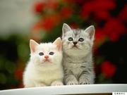 小宋666的个人资料头像