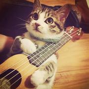 海纳百川517的个人资料头像