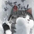 Siven的个人资料头像