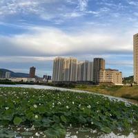 删除记忆8866头像