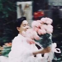 是鹏鹏王啊头像