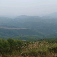 奋发有为豆浆3R4头像