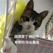 潇湘夜雨368的个人资料头像