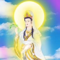 金荳玉茧头像
