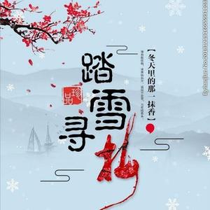 踏雪寻梅hong头像