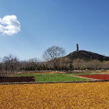 颐和湖畔头像