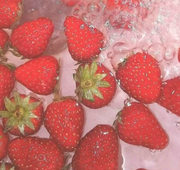 金鱼姬的个人资料头像