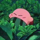 橙子爱学习67875的个人资料头像