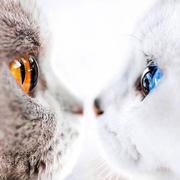 拾東的个人资料头像