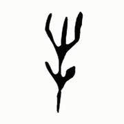 次世代掘金者的个人资料头像