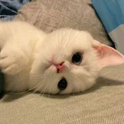 jerry846的个人资料头像