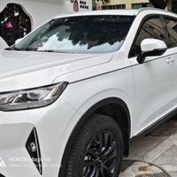 榴芒和千层头像