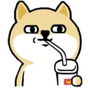 看我的眼神678的个人资料头像