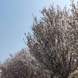 童话5440头像
