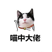 一只鹿的个人资料头像