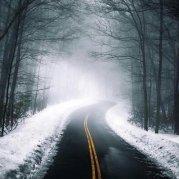 陈柔蕊巧的个人资料头像