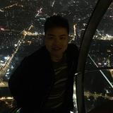 正义公平漂泊信天翁头像