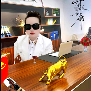 宝爷在温州头像