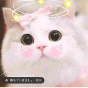 用户2682487486680的个人资料头像