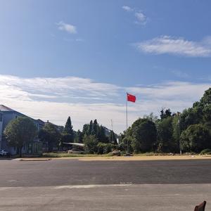 自若晚风酥头像