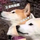 二次元玉宝头像