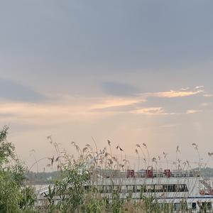 陈dd.头像