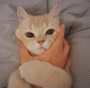 熊宝不想说话的个人资料头像