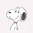 蜗壳123的个人资料头像