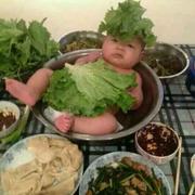 娃娃菜155的个人资料头像