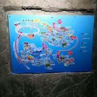 为什么仗剑走天涯头像