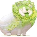 洗手液战神719头像