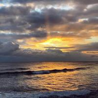 用户3359401553747头像