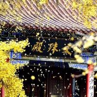 宋家武汉热干面米线头像