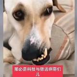 安全守时头像