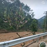 用户9986551902464头像