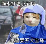 黛玉倒拔垂杨柳的个人资料头像