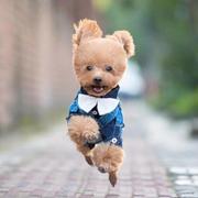 呆呆_呆呆的个人资料头像