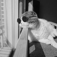 简单3672615127157头像